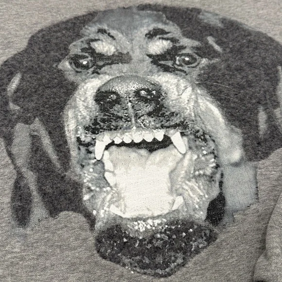 Givenchy Rottweiler sweatshirt - Picture 4 of 10